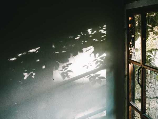 Introduction to Catholic&nbsp;Life